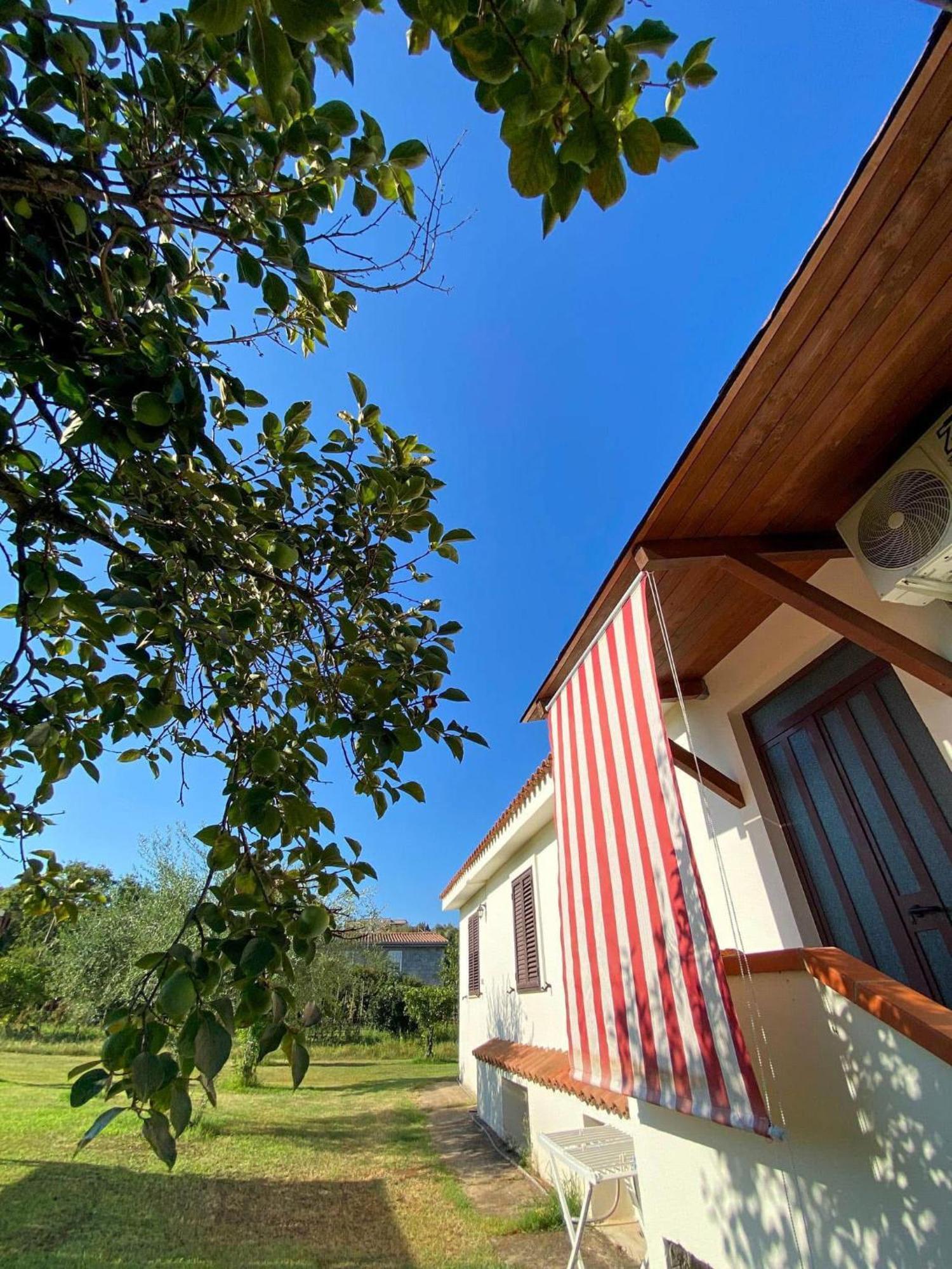 Villa Gladyr Лотцорай Екстериор снимка